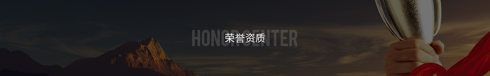 榮譽資質(zhi)